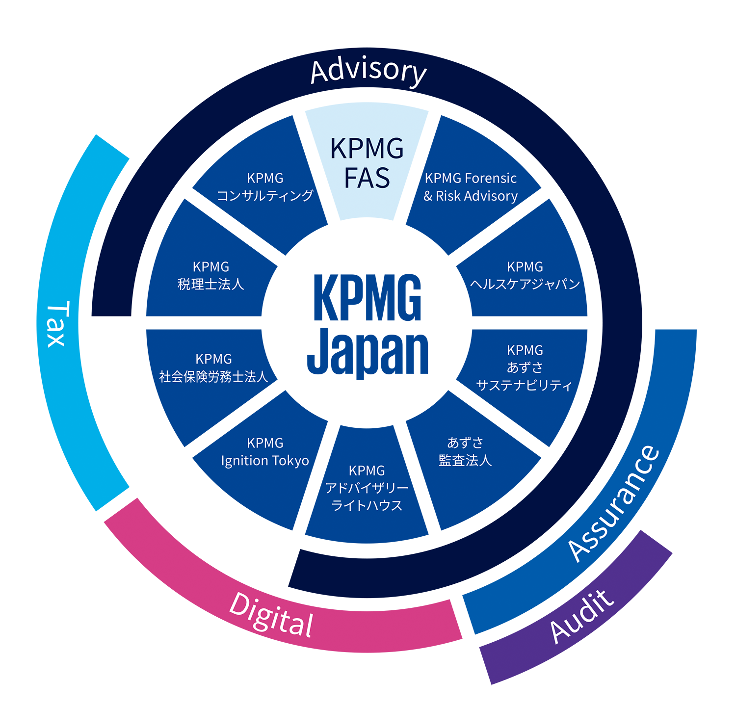 KPMG FAS